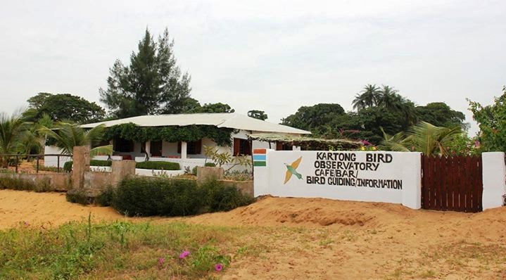 Wetland vista from Kartong Bird Observatory