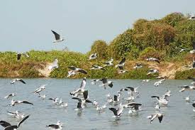 Dune view near Tanji Bird Reserve